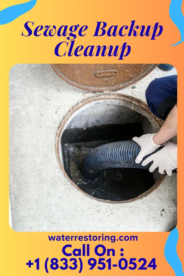 Sewage Backup Cleanup in Yorktown, IN
